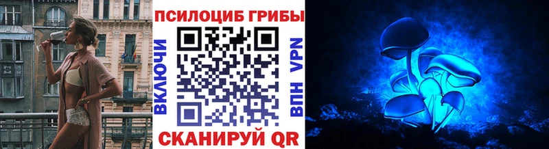 гидра как зайти  купить наркоту  Новокузнецк  Галлюциногенные грибы Cubensis 