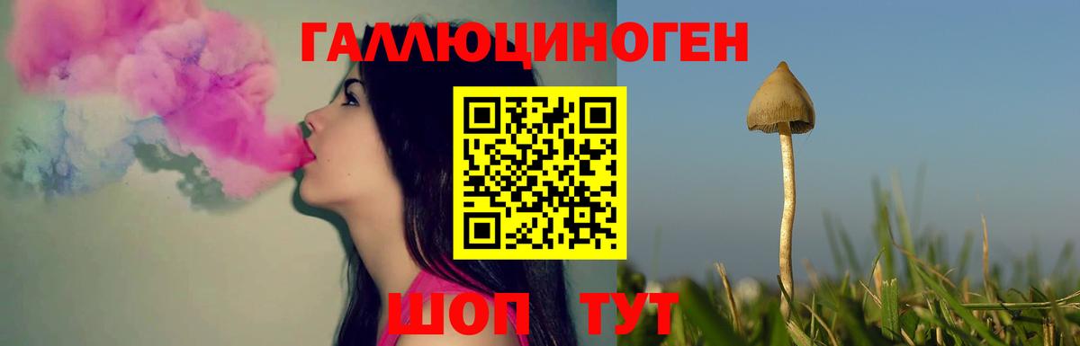 магазин продажи   Галлюциногенные грибы прущие грибы  Вход с VPN  Псилоцибиновые грибы GOLDEN TEACHER  Новокузнецк 