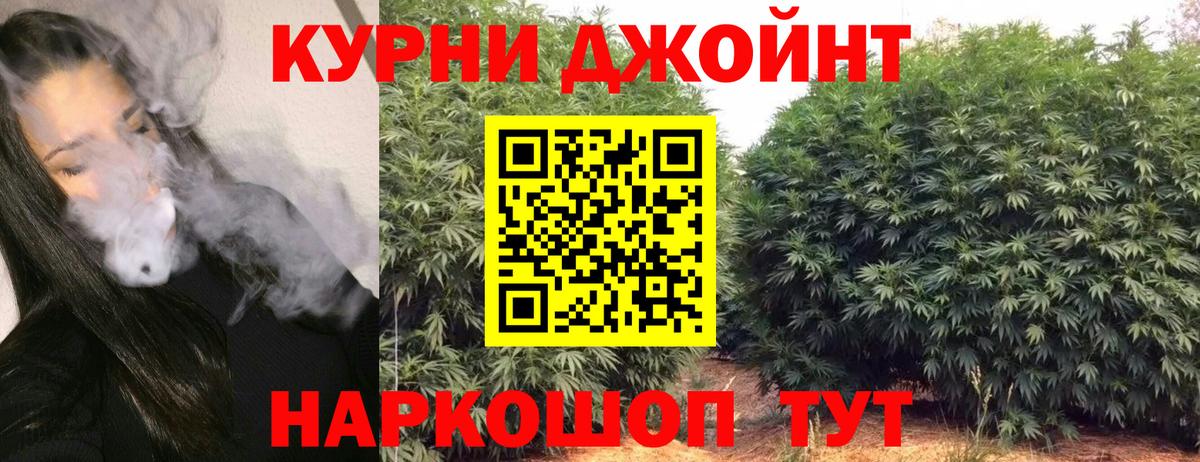 Новокузнецк  Конопля OG Kush  Вход с VPN  Бошки марихуана MAZAR  Бошки марихуана AK-47  Канабис план 